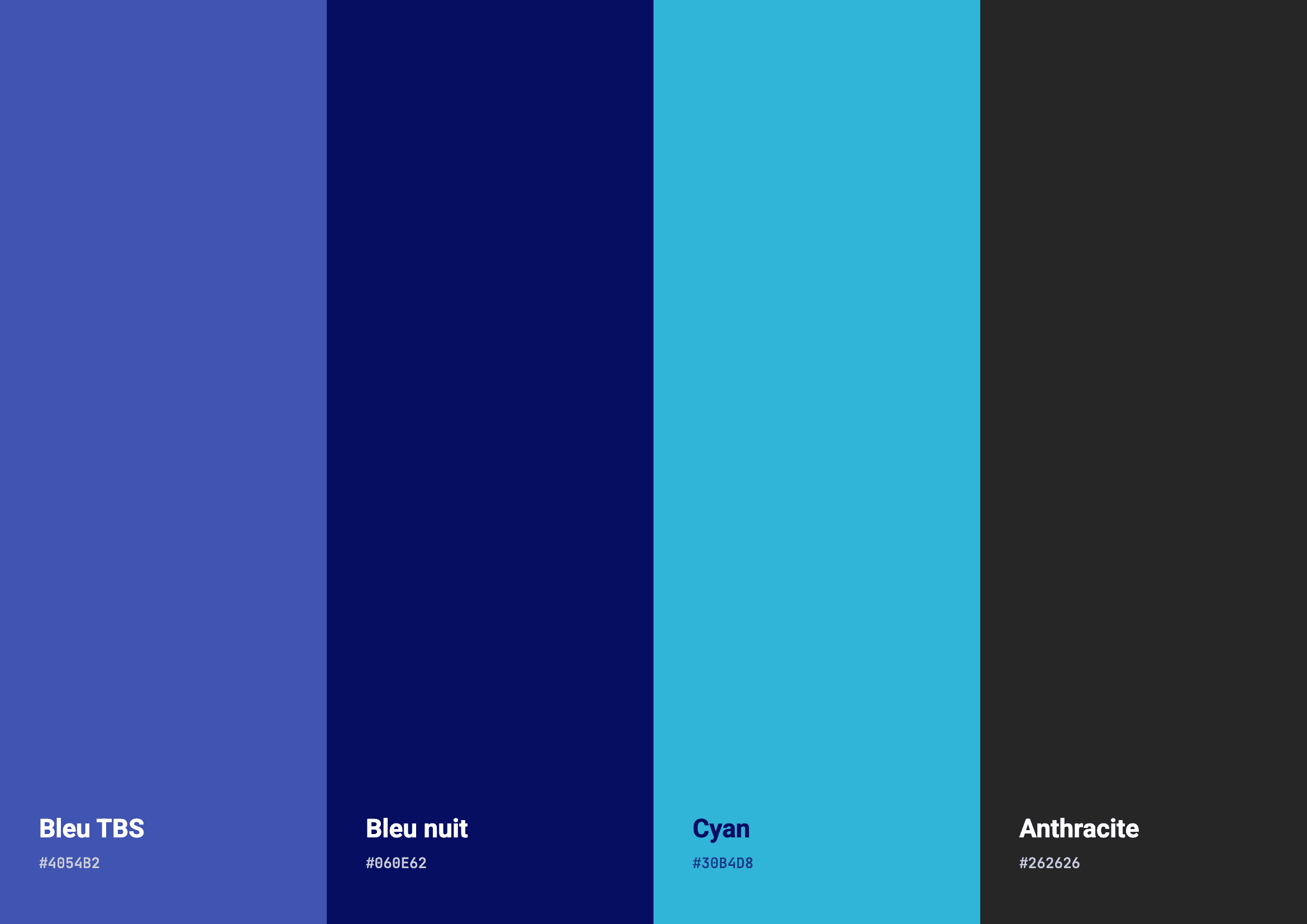 Palette de couleurs de TBS Avocats fiscalistes
