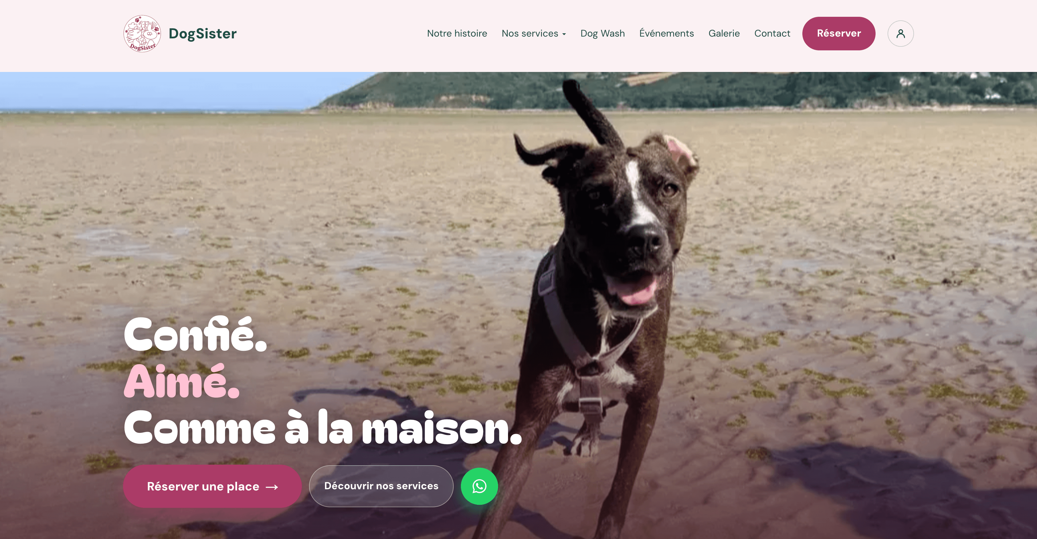 Page d’accueil de DogSister avec le titre « Confié. Aimé. Comme à la maison. » et un chien qui court sur la plage