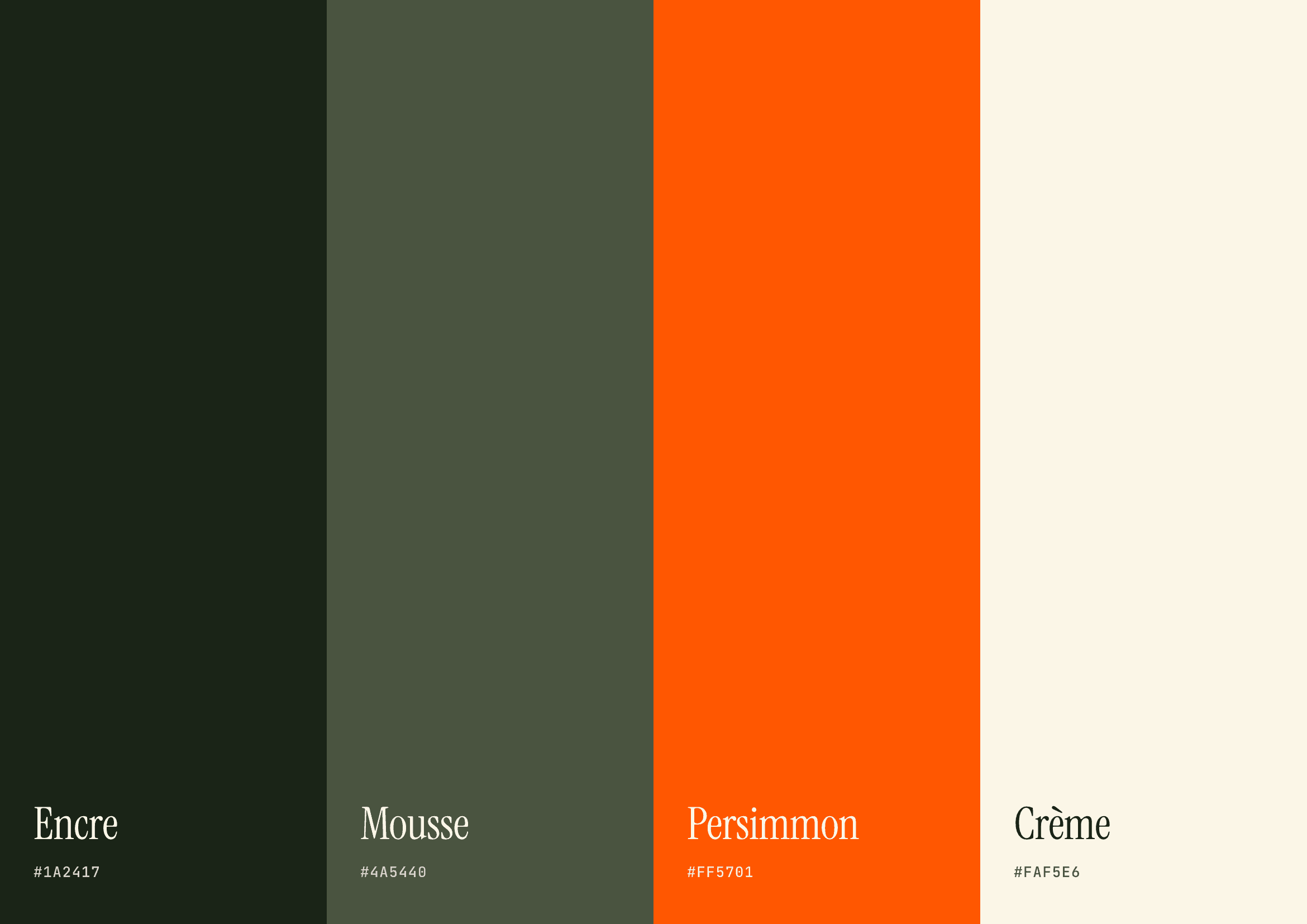 Palette de couleurs de Dr Jean-Michel Cohen