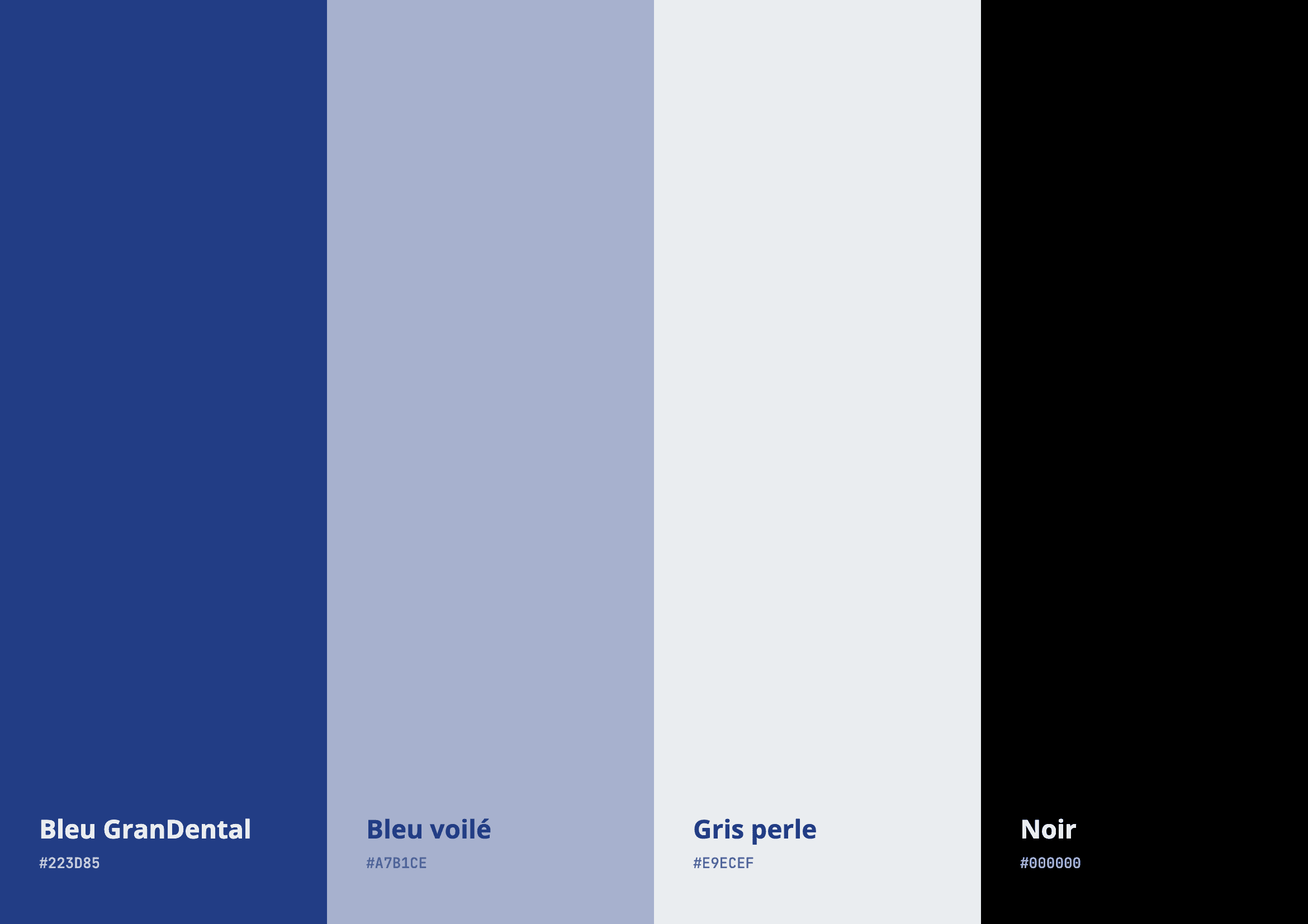 Palette de couleurs de GranDental