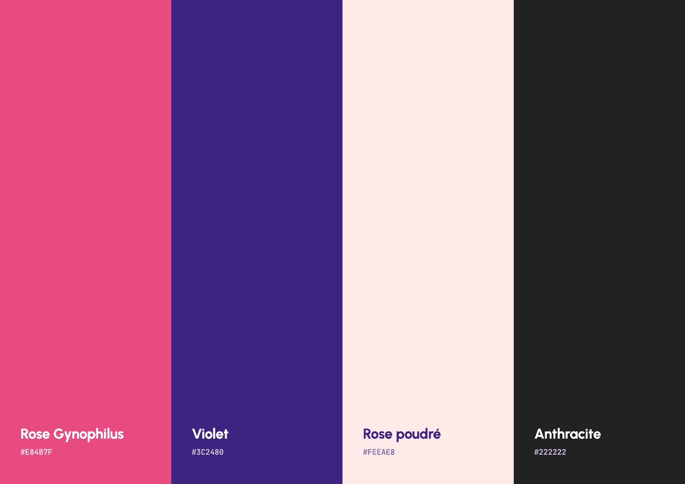 Palette de couleurs de Gynophilus
