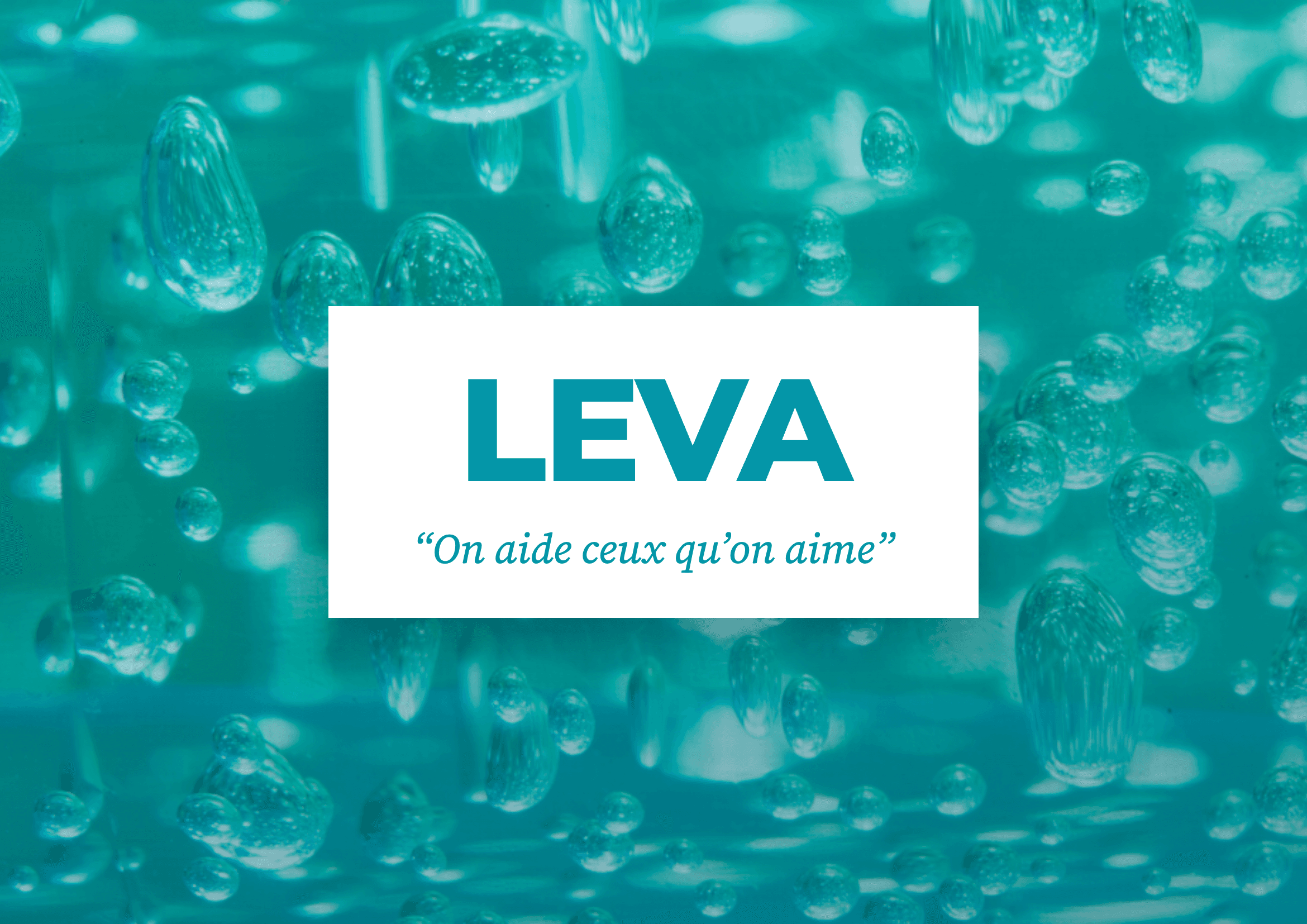 Logo de LEVA