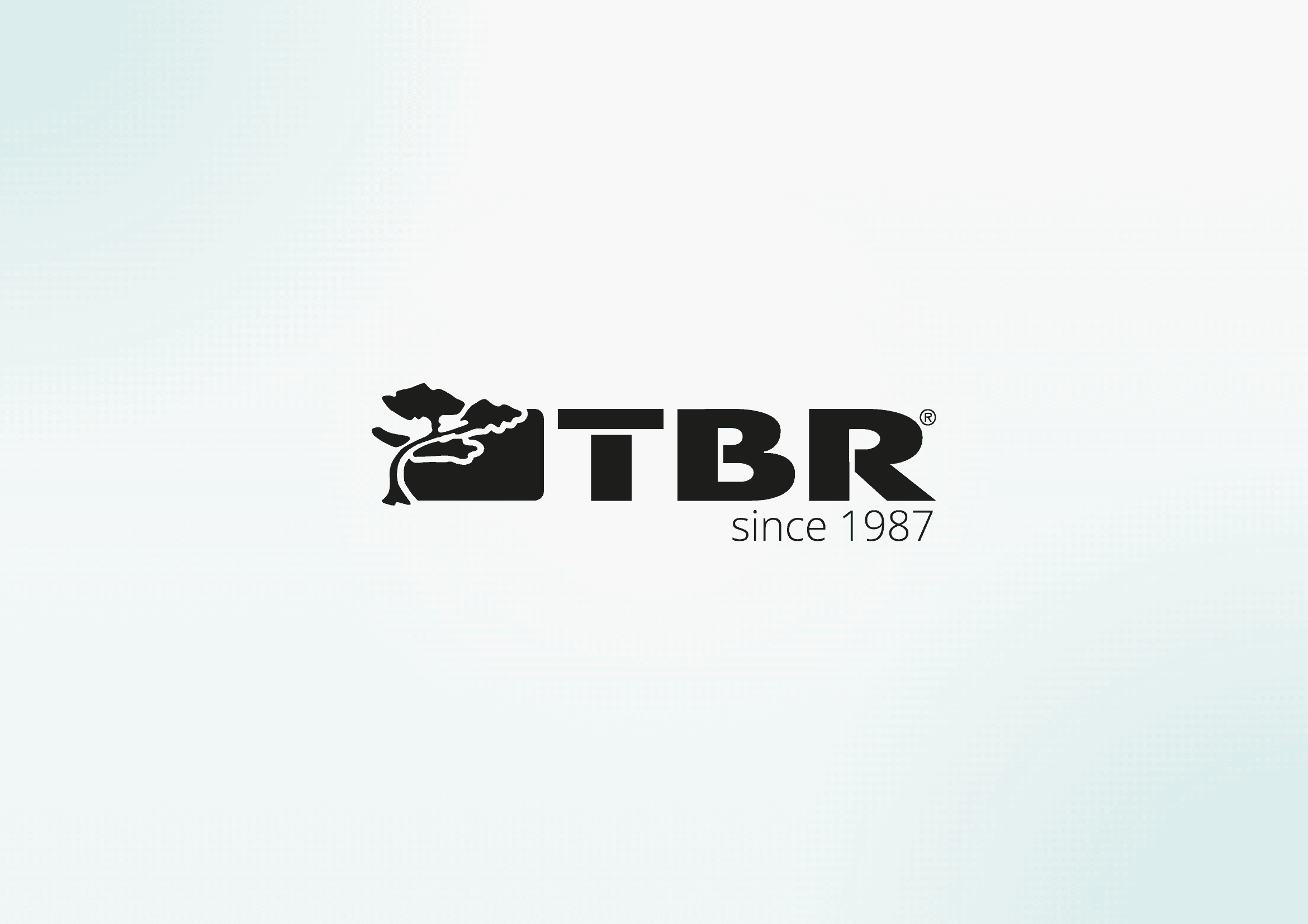Logo de TBR
