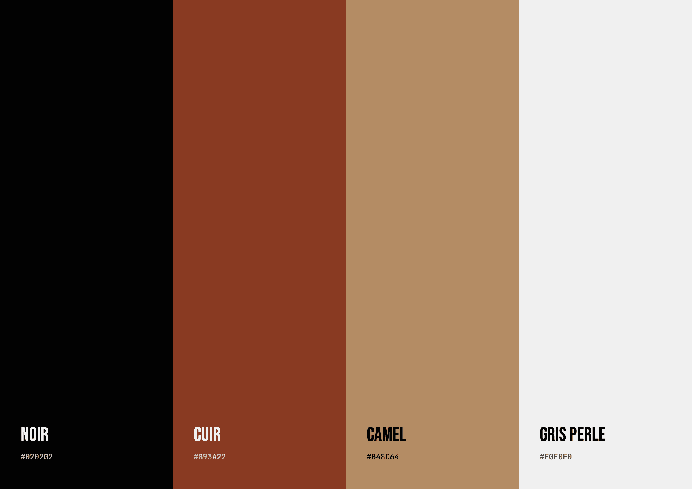 Palette de couleurs de Vulcy Sport
