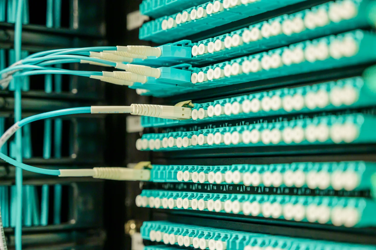 Cache objet Redis sur WordPress : quand et comment